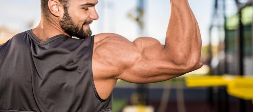 How Do i Build Muscle Quickly